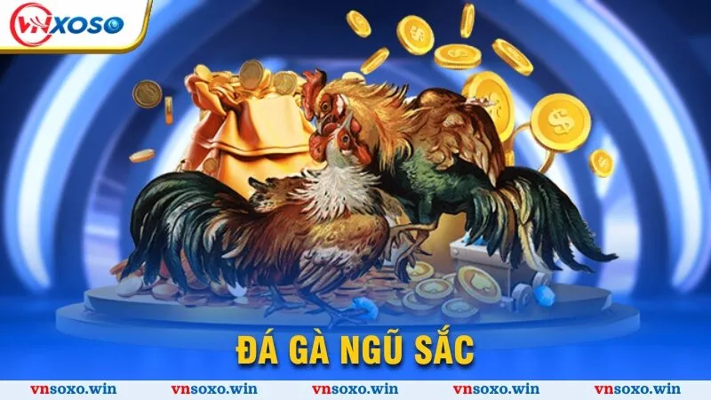 đá gà ngũ sắc